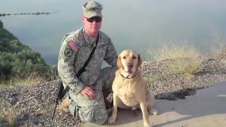 what breed is gabe the top 10 heroic crime fighting dogs crimewatchdaily what breed is gabe the top 10 heroic crime fighting dogs crimewatchdaily